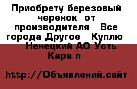 Приобрету березовый черенок  от производителя - Все города Другое » Куплю   . Ненецкий АО,Усть-Кара п.